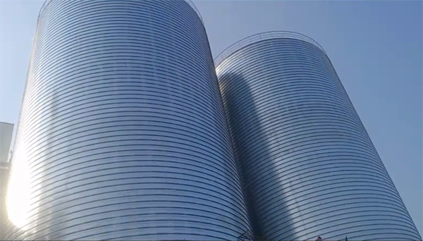 东阳2座混凝土高架卷板仓